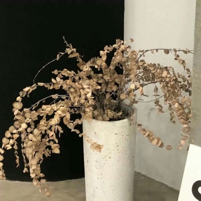 原创兽设世界观设计思路Furry群